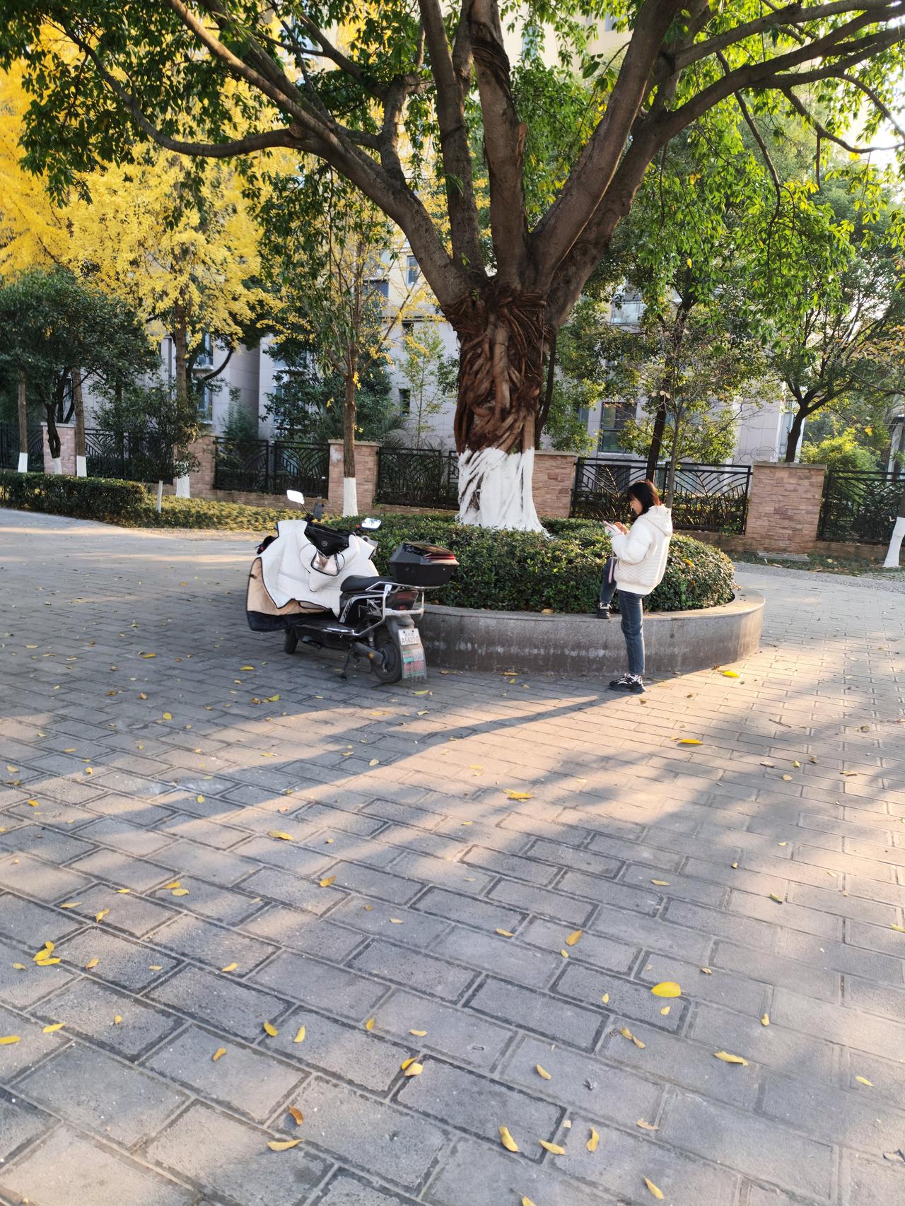 法国白种男人结婚率只有3%，就是因为禁止做亲子鉴定这个规定造成的，