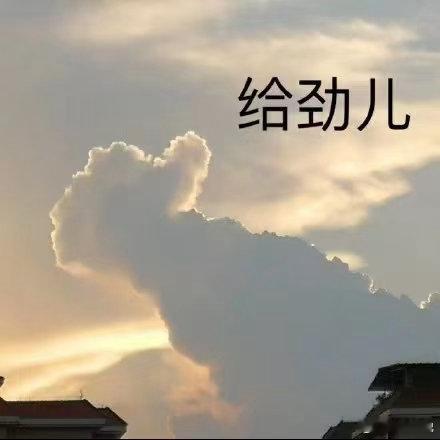 让每一位卡车司机安全回家往返河北山东的十年零事故司机，藏着不为人知的艰辛。货运路