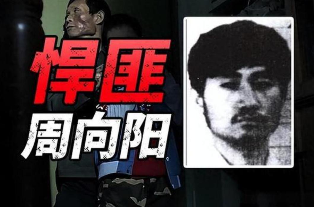 “周向阳这个人，脑子不聪明，但他有个长处——他从来不怕把事儿做绝。”这是邓永良落