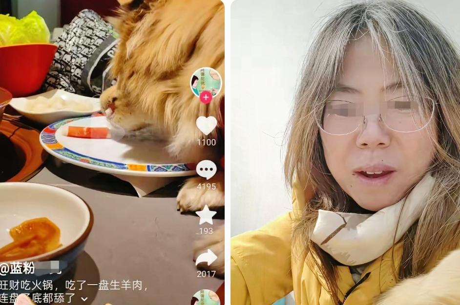 女子带狗上桌吃涮肉后续：女子删视频，店铺决定索赔，评论区炸了！ 12月16日