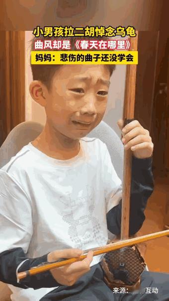 笑死我了，这事直接火到新华社啦！男孩家的小乌龟死了，他拉二胡悼念，脸上满是悲伤，