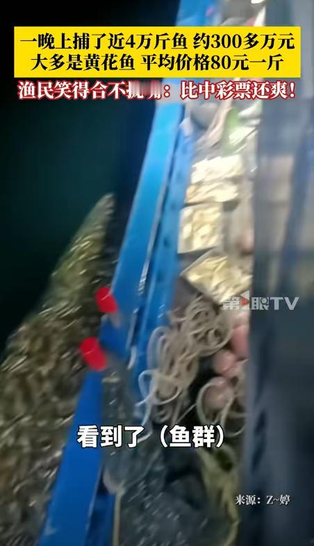 福建，渔民夜里出海打鱼，突然发现了巨大的鱼群，4条船迅速围上去开始捕捞，没想到
