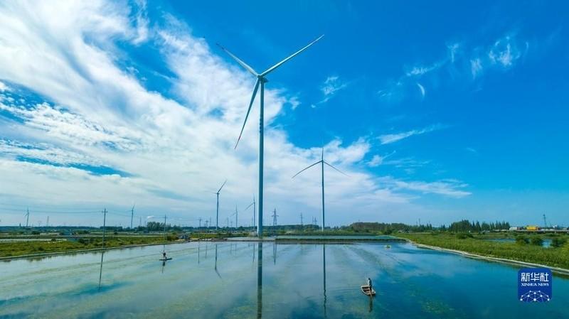 战事倒逼能源转型！中国80%光伏组件垄断全球，美媒酸评：赢麻了当中东战事让