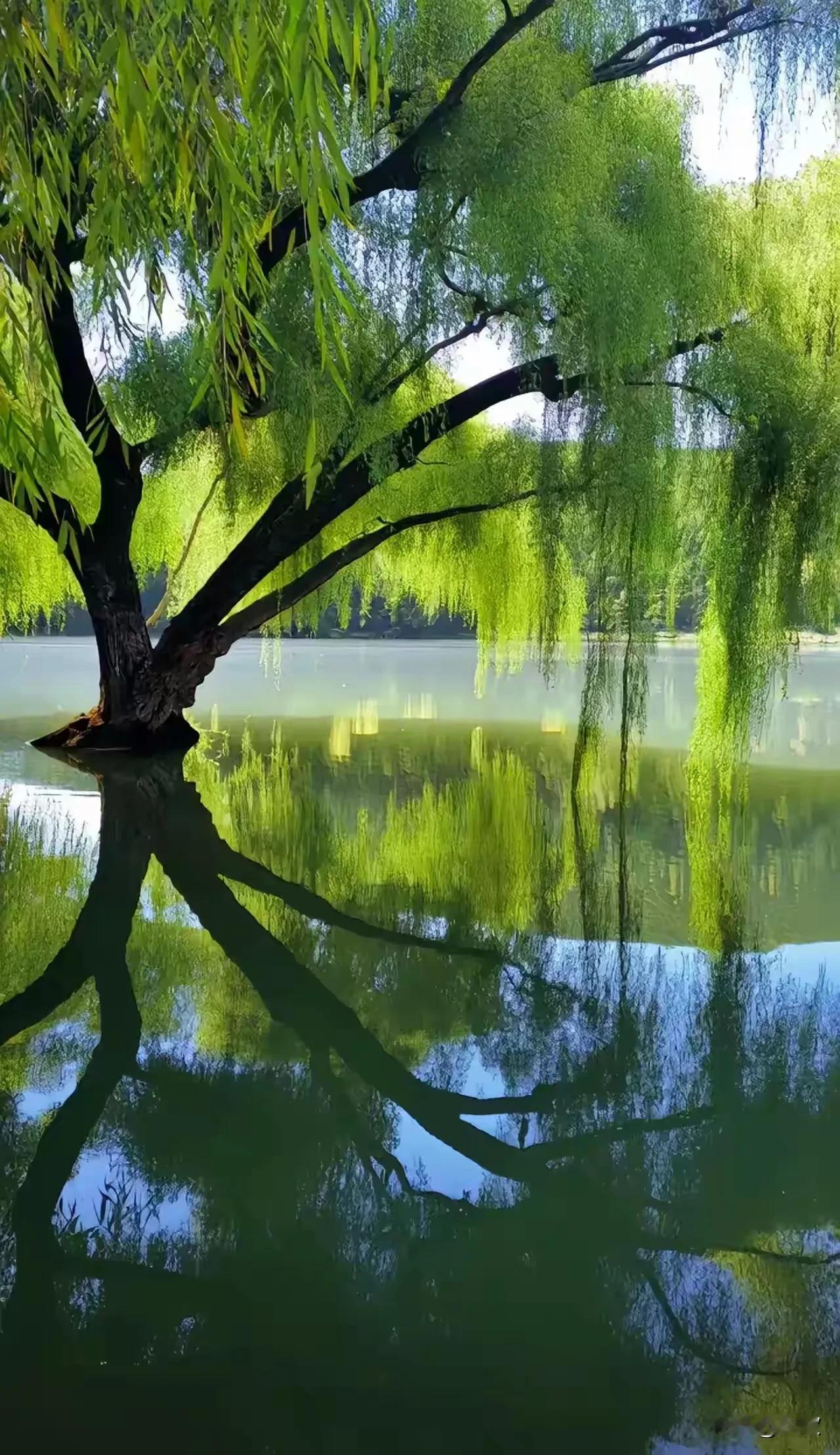 上联:风情动水花含笑下联:月影移山柳欲眠横批:春和景明