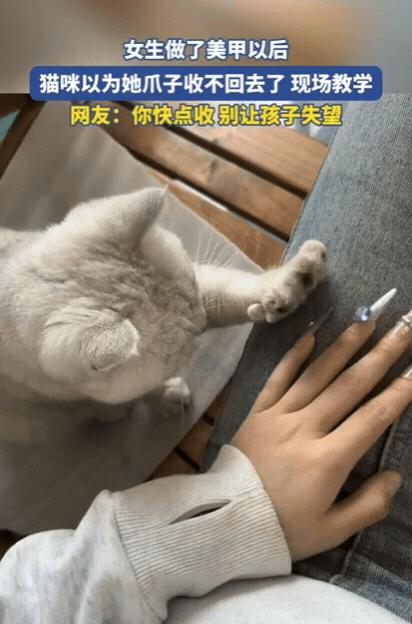 太有灵性了！女生做了美甲回家，猫咪看到后，竟然以为她爪子收不回去了，直接现场教学