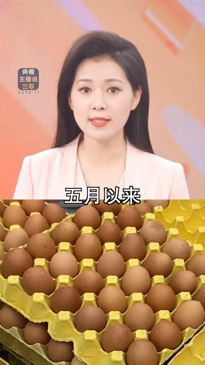 鸡蛋坐上火箭了，怎么越来越贵了？宝宝好，最近经常逛菜市场的朋友一定会发现，在五月
