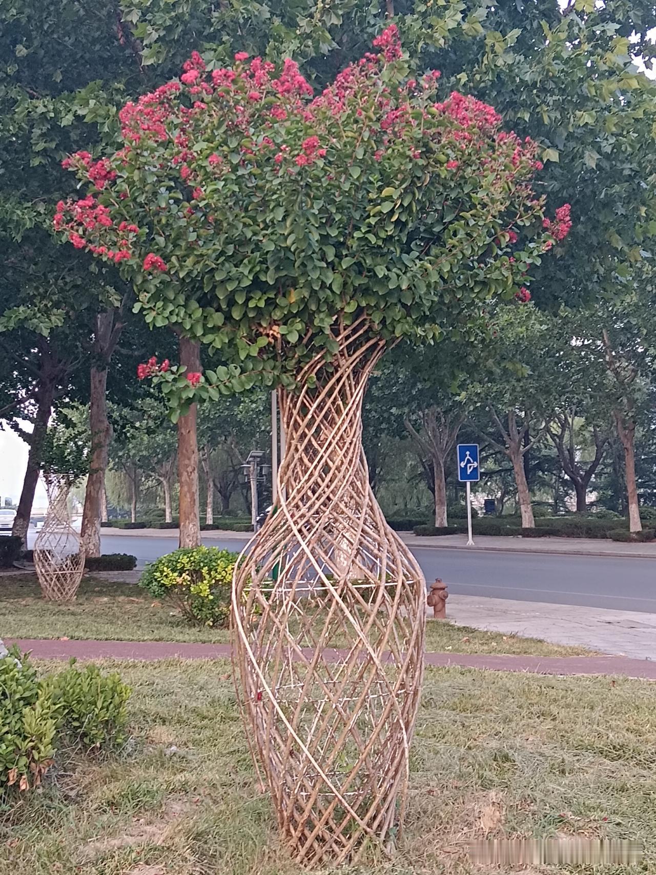 太认同这个观点了，之前去平潭岛追蓝眼泪，要是没想着拍照，大概率只会站在岸边随波逐