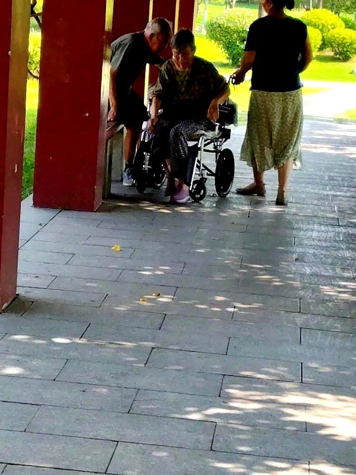 大中午的，公园凉亭里一幕扎眼：保姆推着轮椅上来，老太太被扶到长椅乘风，老先生在旁