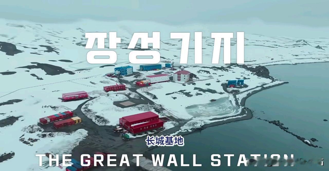 哈哈哈，韩国综艺《南极的厨师》，没想到火的是咱中国南极科考站！韩国综艺节目到