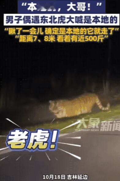 解释不清了！吉林一女子晚上打车回家，结果，司机开到一偏僻处，突然停车！女子一下就
