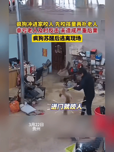 “疯狗闯家咬孩子！危急时刻，老人这一刀劈得太关键！”3月22日，贵州一户人