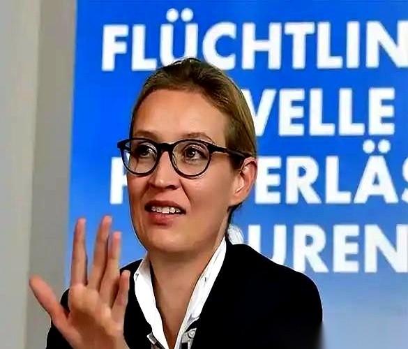 德国政坛最近砸下了一记重锤。选择党领袖魏德尔对着话筒直接甩出一句狠话：“停止对乌