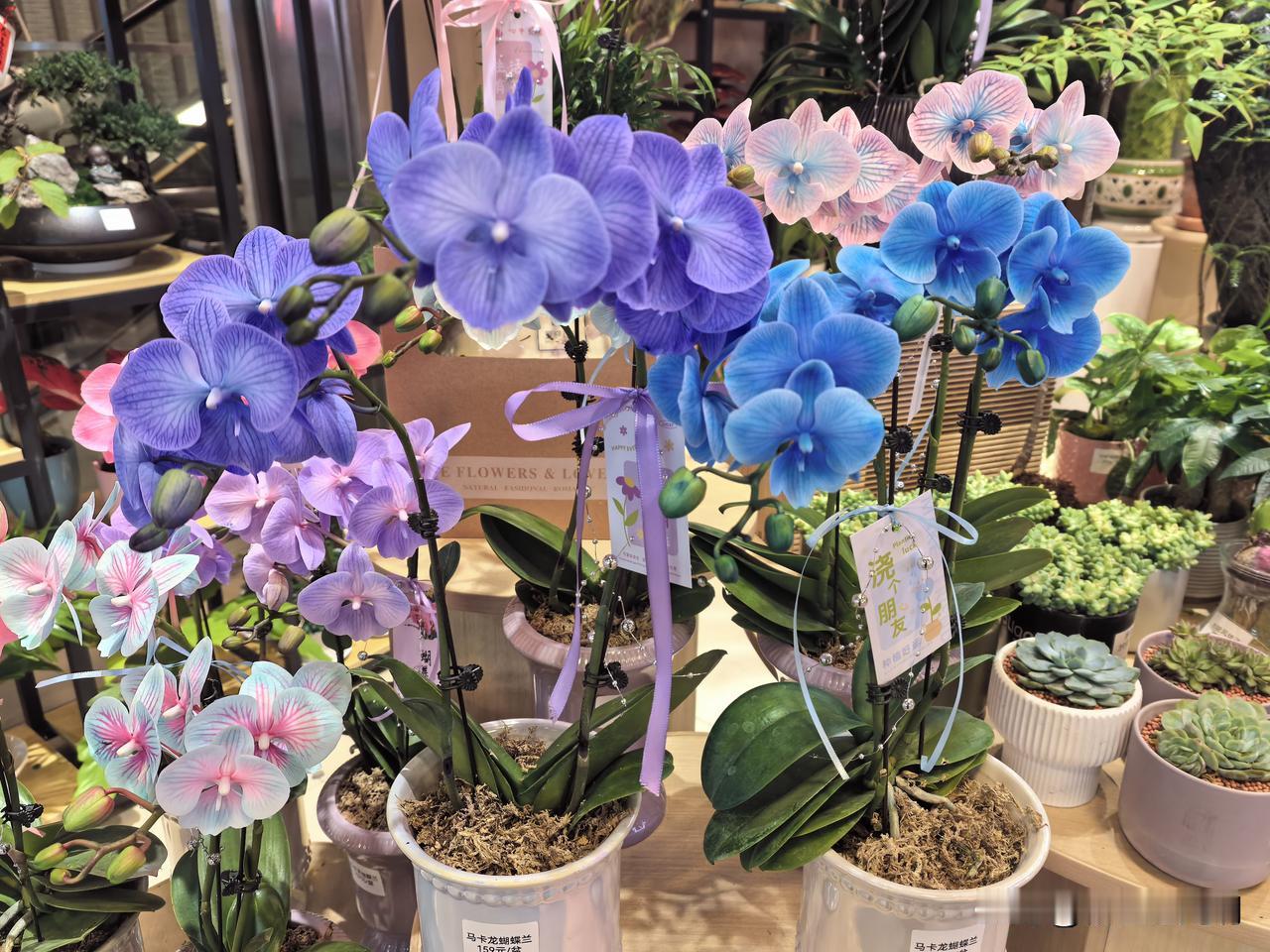 做个苏州人是什么感受看过一个张雪峰的视频，有家长问道：你原来在北京发展，为什