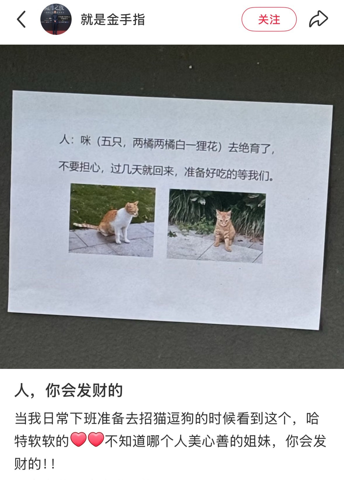 看得心暖暖🥲🥲人你会发财的🥲🥲​​​