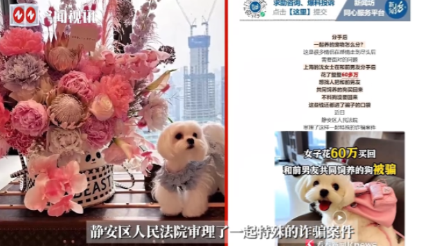 “太缺德了！”2025年7月，上海，一女子和前男友分手后，花了整整60万元，要将
