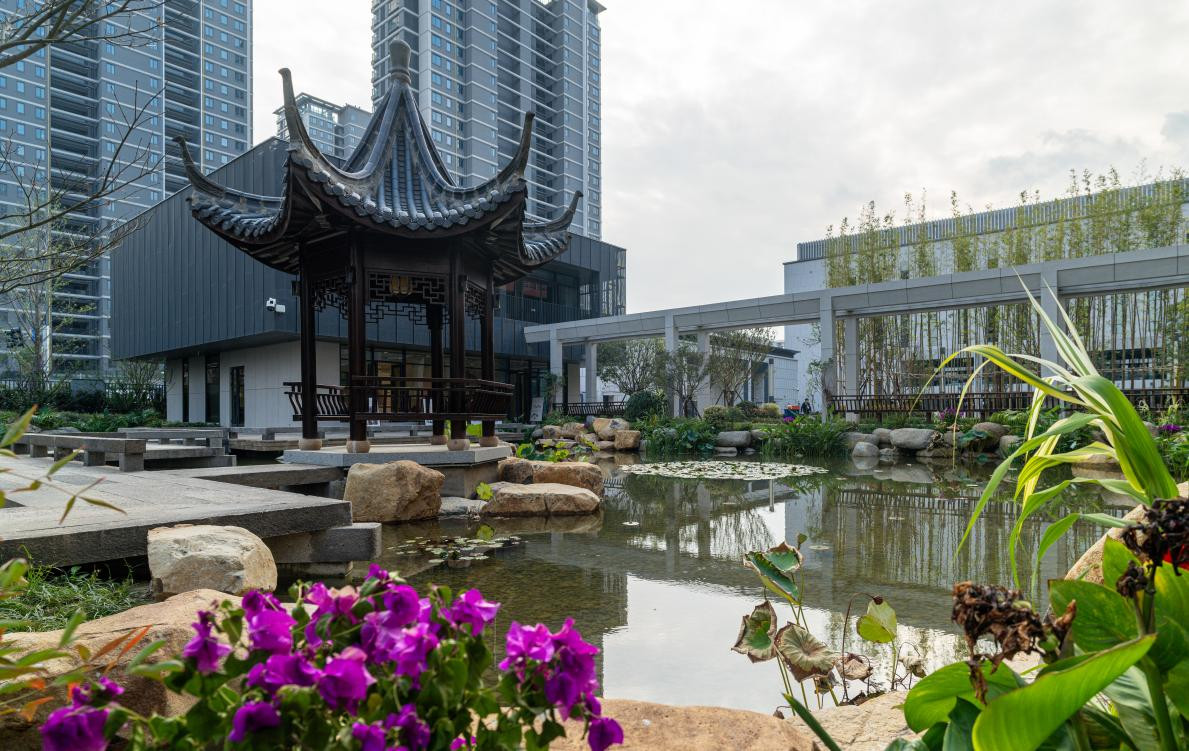 朱自清散文AI率超60%不建议到浙江读书，浙江省高考是地狱模式！从幼儿园开始一直