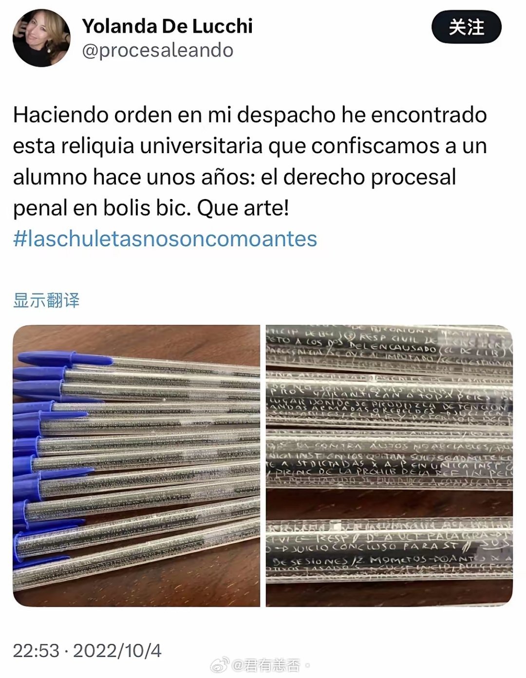 西班牙马拉加大学法律系教授尤兰达（YolandadeLucchi）在推特公开