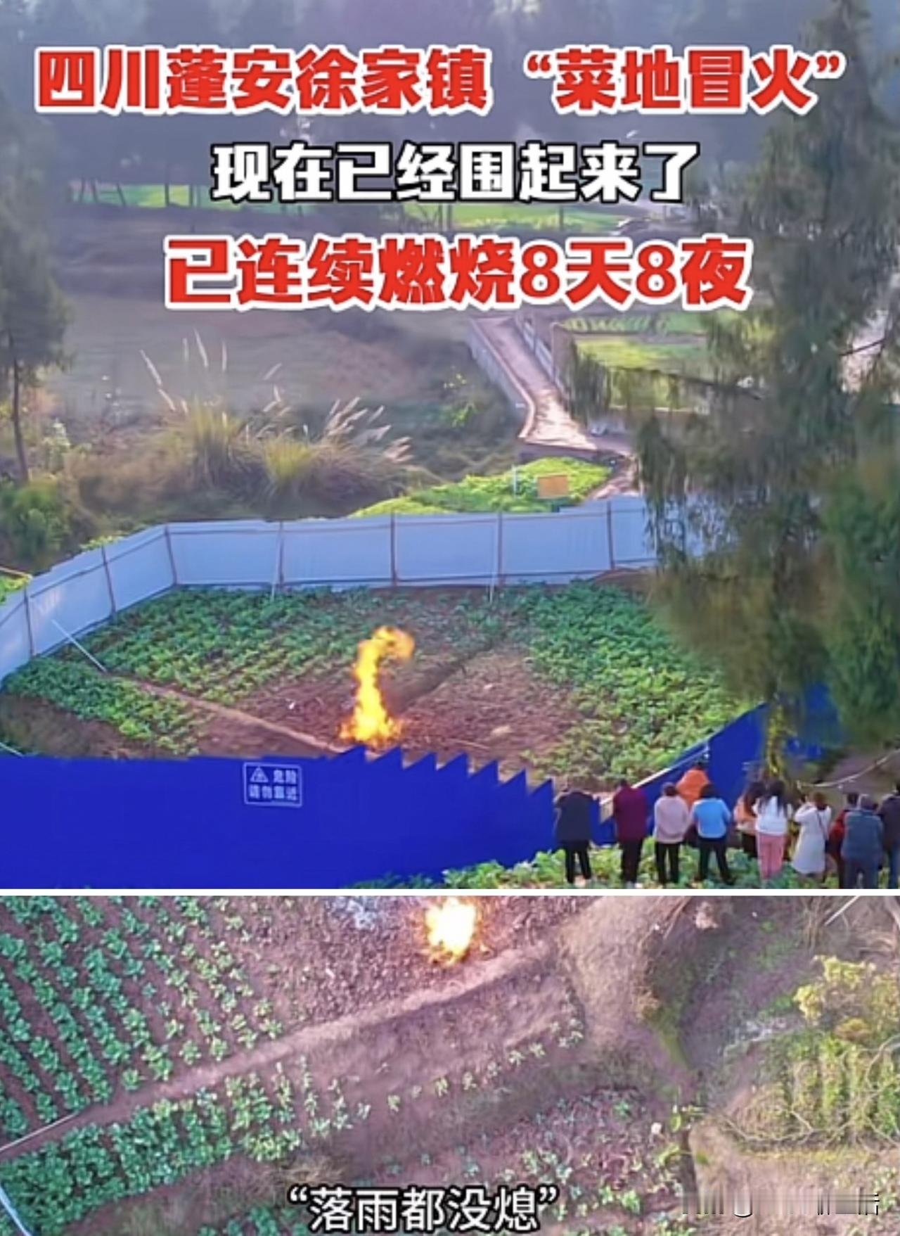太不可思议了！四川蓬安徐家镇的这块菜地太神奇了！平地冒火连烧8天8夜，下雨了也