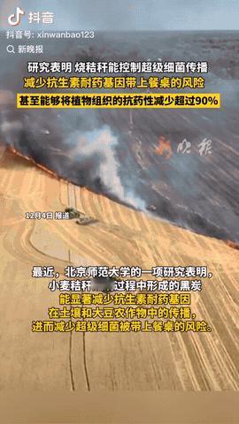 北师大最新研究显示，过去因“制造雾霾”被严禁的秸秆焚烧，能控制超级细菌传播，减少