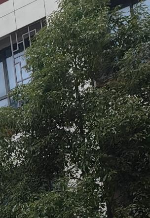 大众的湿式双离合，怎么样大众的双离合曾经一度被认为是变速箱的未来，开始的涡轮增压