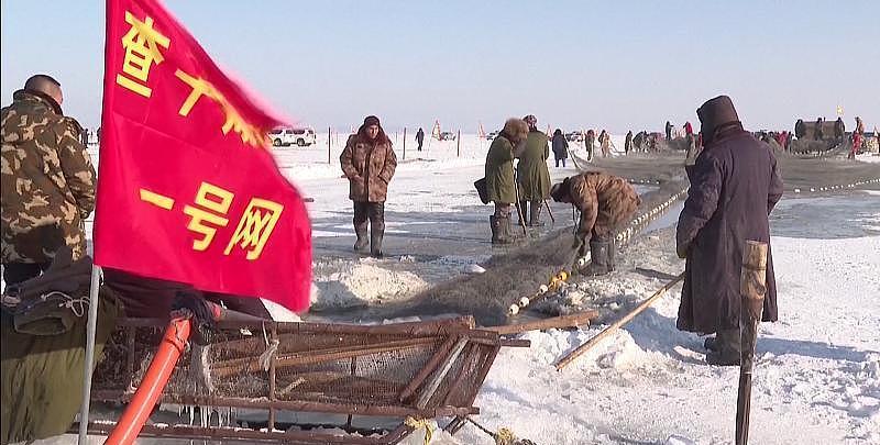 为什么查干湖的鱼永远抓不完？当地渔民说出实情，答案其实很简单。 查干湖每年冬
