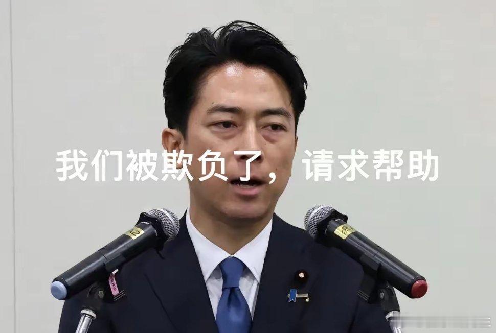 日媒开始精神胜利了太丢人了！12月12日早上6:00，小泉进次郎与美国国防部长赫