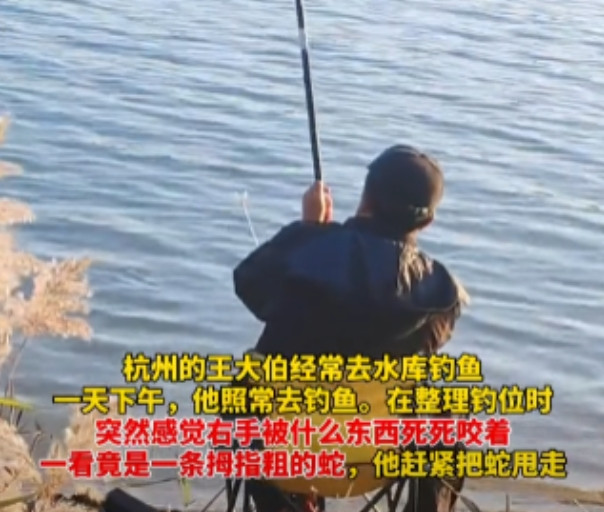 “太猛了！”浙江杭州，一大爷在钓鱼时右手被蛇咬伤！万万没想到，大爷为了方便医生做
