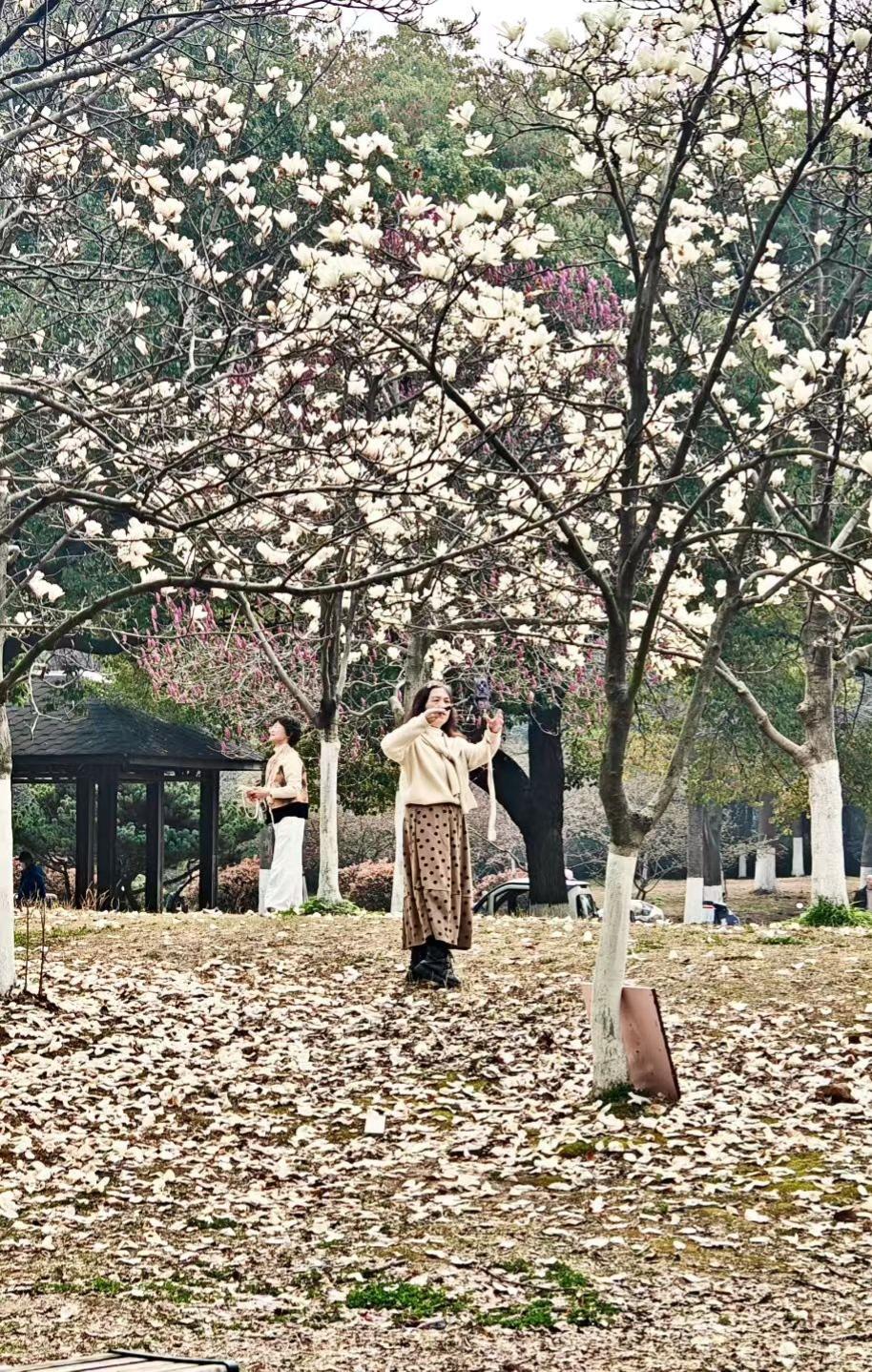 轮流养老，撕开多少家庭的遮羞布：有人尽责，有人装傻多子女家庭一提养老，最常