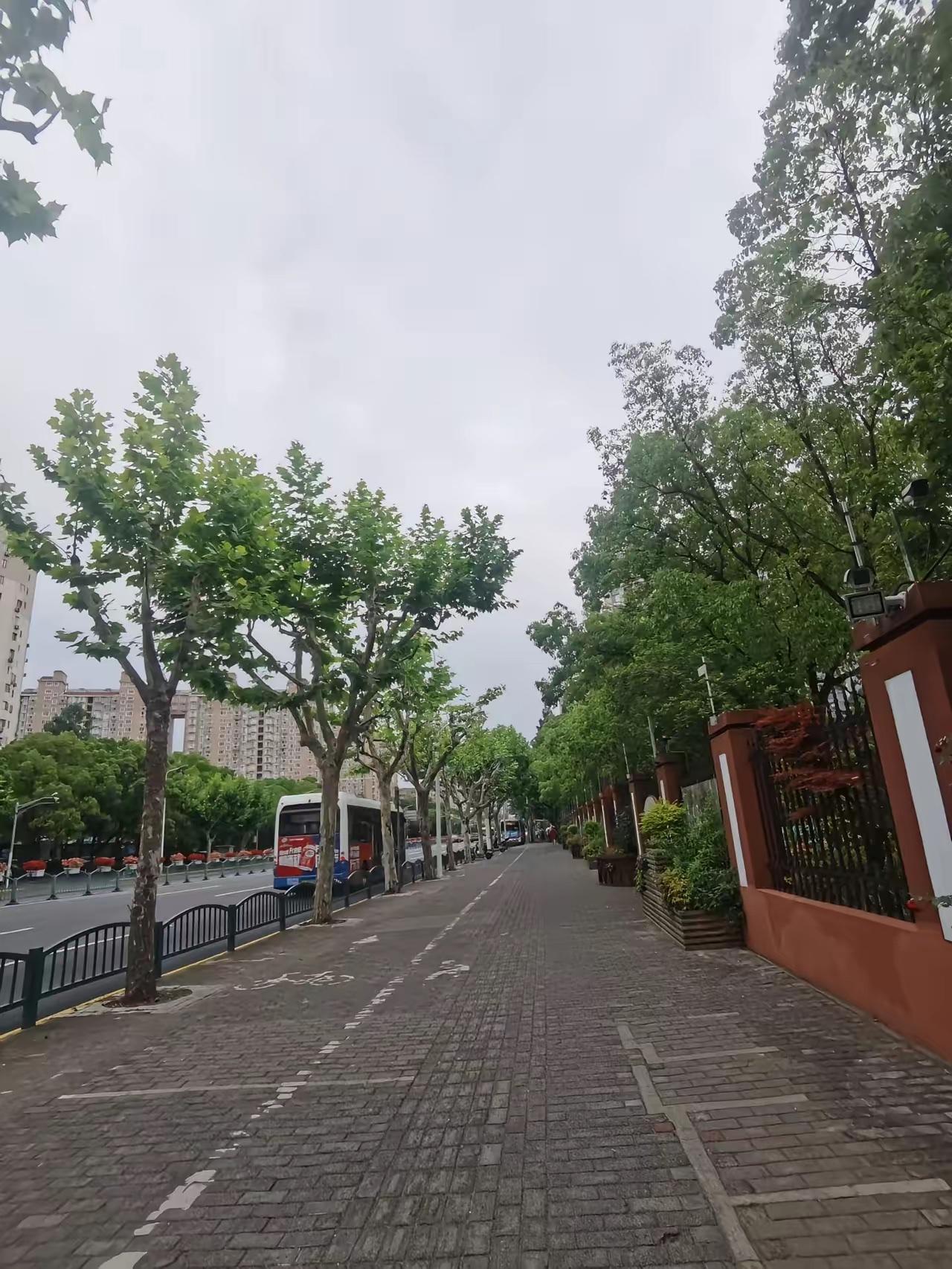 发现没，现在的人们越来越安静了。没什么事就窝在家里，刷刷手机，做做家务，一天也就