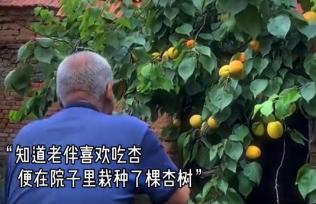 “泪目了！”山东，98岁大爷感觉到命不久矣，临终前给96岁妻子劈了一屋的柴！大爷