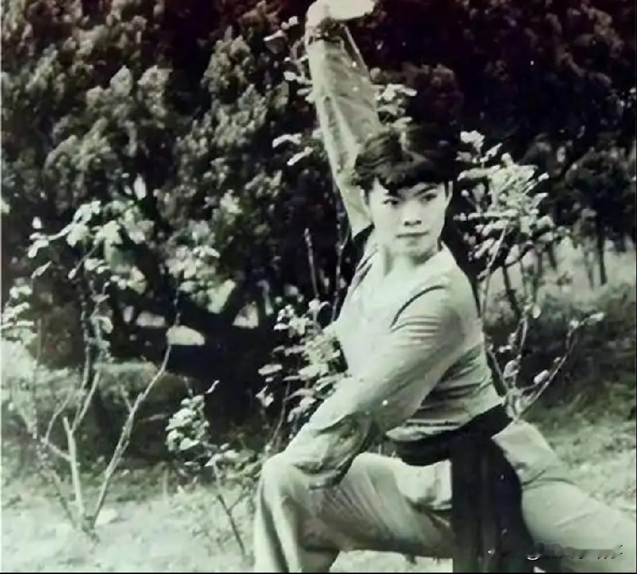 1968年，80岁的武僧宋九庵遇见了18岁的流浪姑娘宋莲萍，当时宋莲萍已经饿晕，