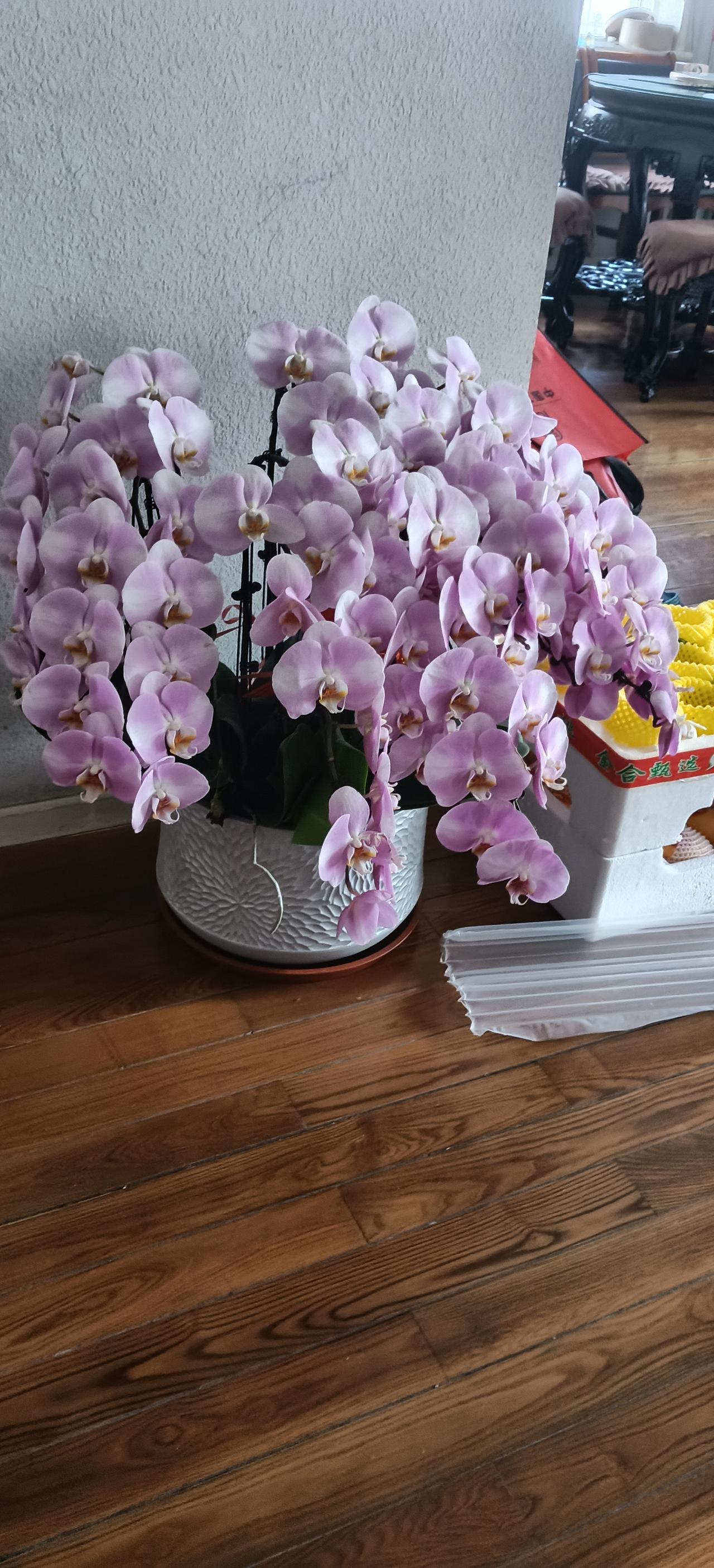 朱元璋杀的最多的是什么人?朱元璋杀得最多的，是贪官污吏和开国功臣。他出