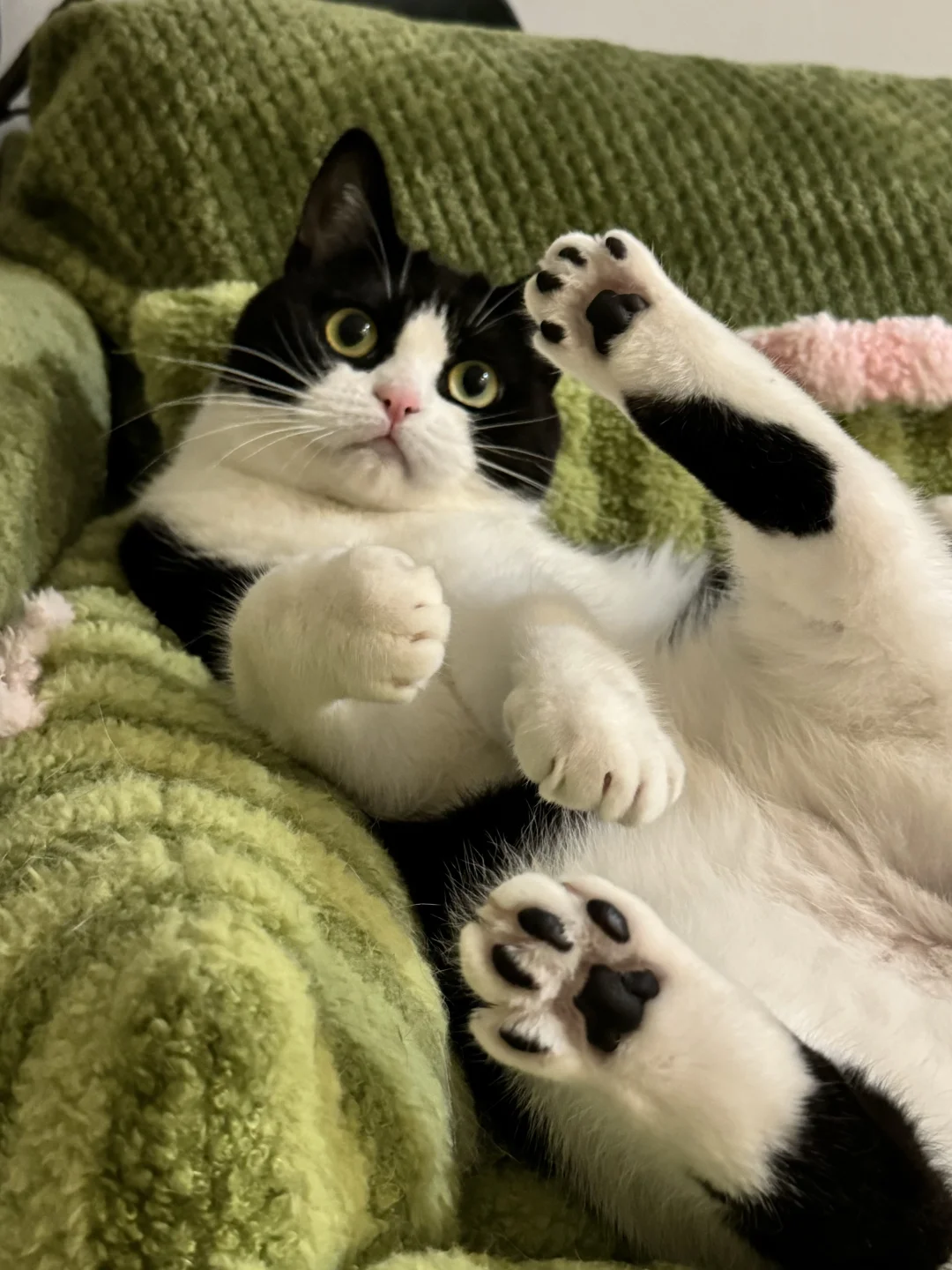 咪的jio是大米味儿