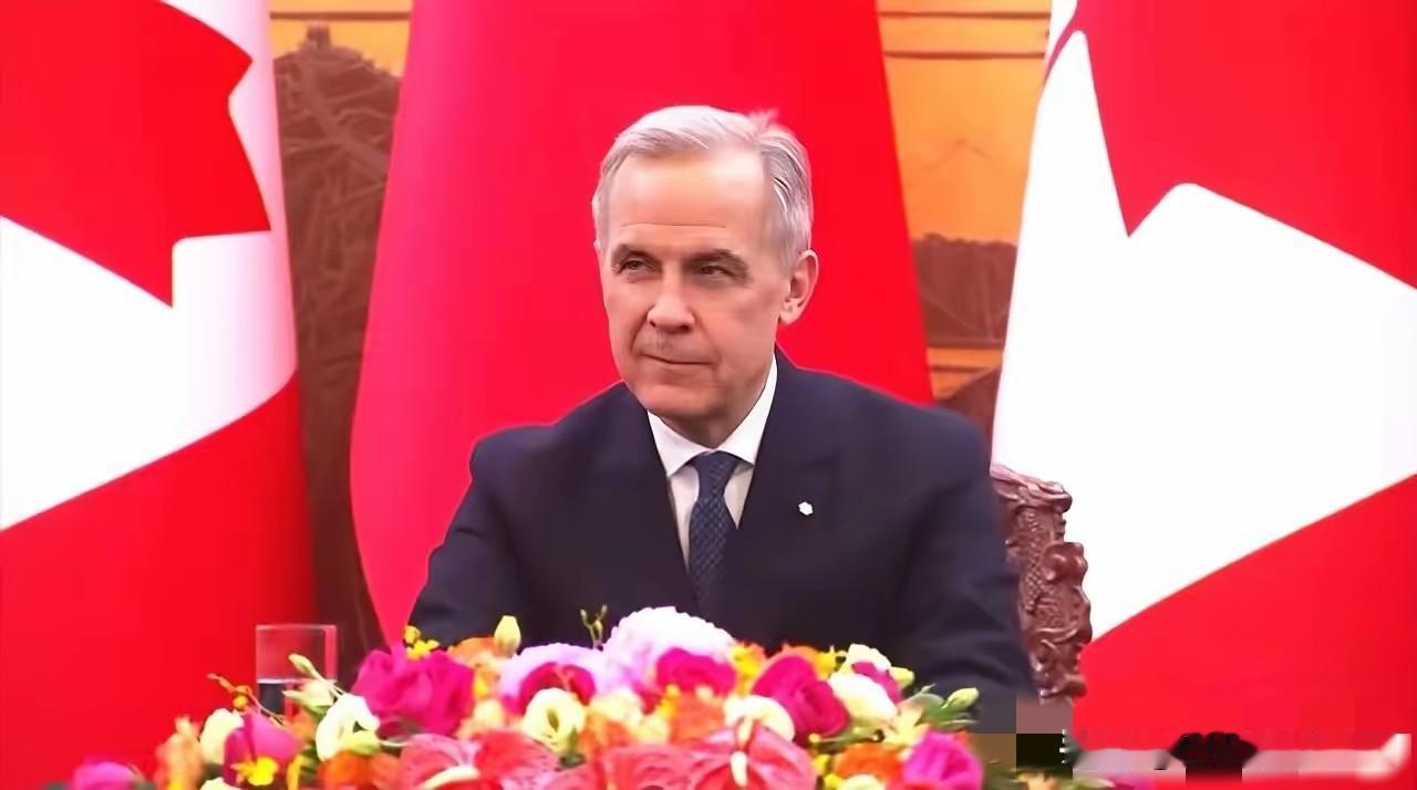 你看加拿大跟人民币签订了货币互换协议。规模高达2000亿人民币的货币互换协议，这