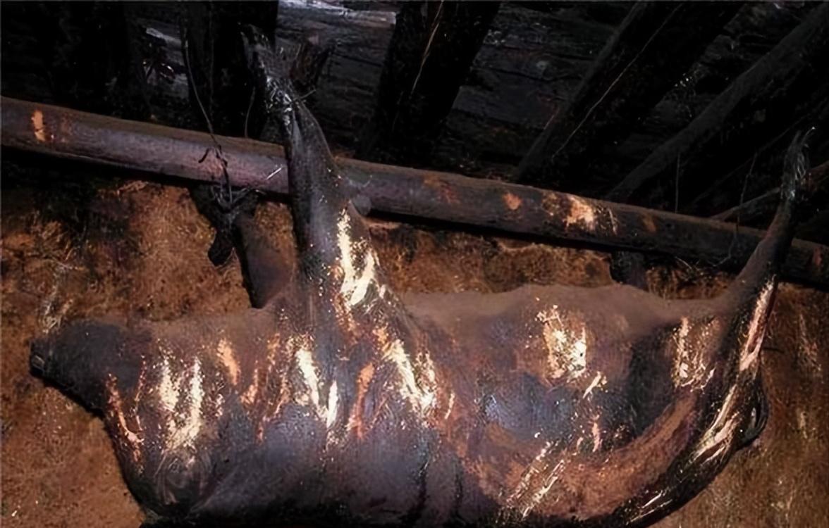 2005年，四川道孚县一户人家，房梁上挂着只死了53年的猪，猪身恶臭熏天，户主却