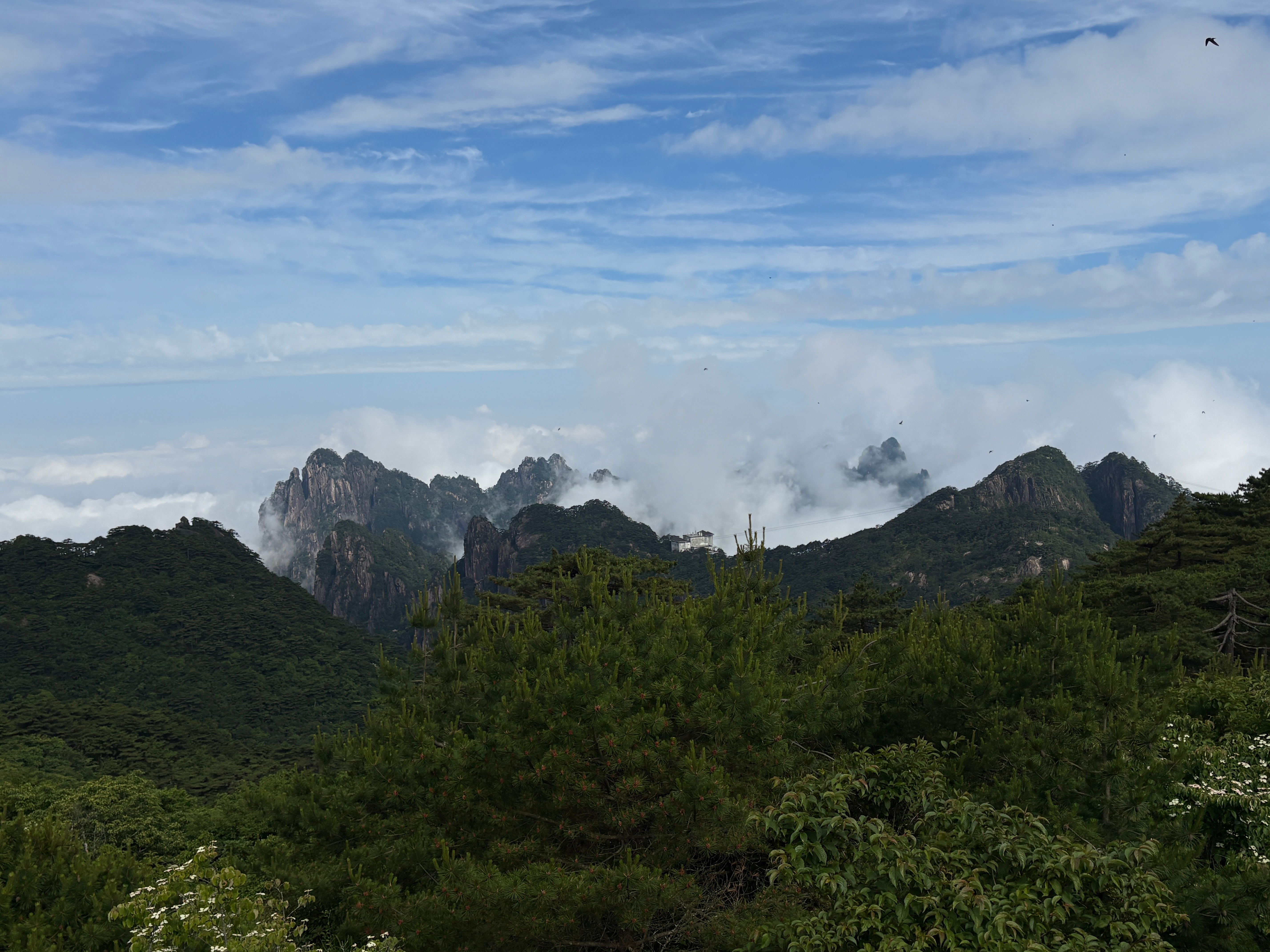 又是累晕的一天黄山·黄山风景区-光明顶