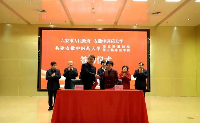 六安市中医院：公益之路守护健康福祉