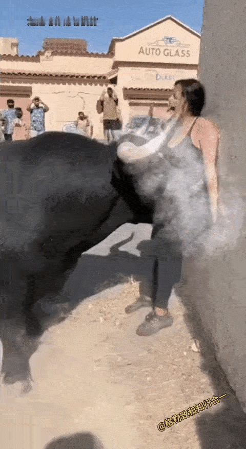 这牛疯了我就想问问疯牛肉可以吃吗？[捂脸哭]