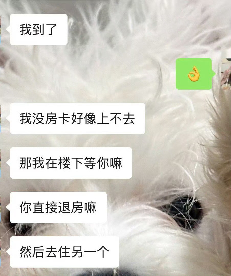 男朋友为了省20块钱让我换酒店突然发现大家旅游不住酒店了​​​