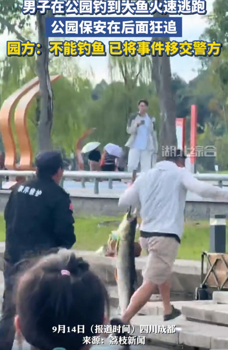 这又何必呢！四川成都，一男子悄悄到兴隆湖钓鱼，不料，一条大鱼好不容易被他弄上来就