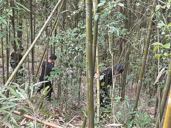 11岁男孩深山失联13天！靠野果溪水存活，千人搜救换回奇迹奇迹发生了！肇庆1