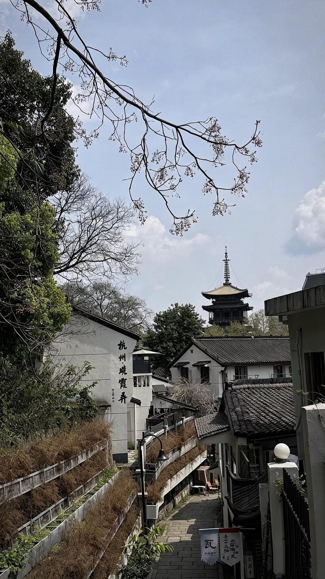祈尔繁芜胜常春ⅈ.樱花雨季皖南渔村