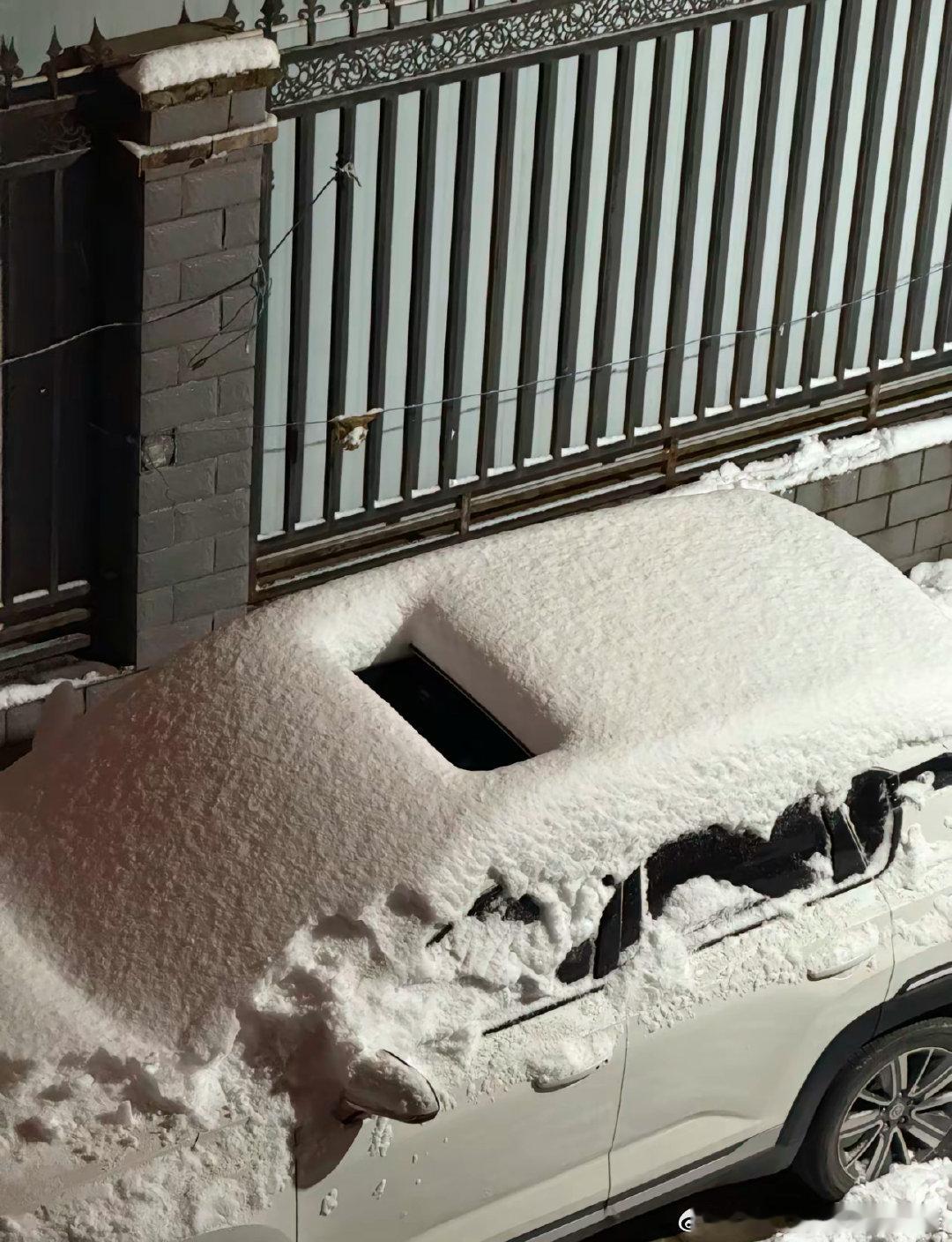 车主睡一觉起来天塌了（