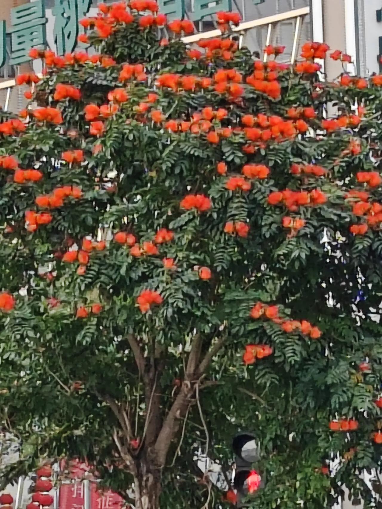 晒出你的本地生活今天预报的又有雨啦，不过天还可以没有下。不过还是很冷，阴沉沉的。