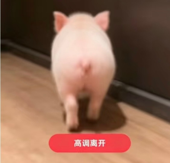 好无聊