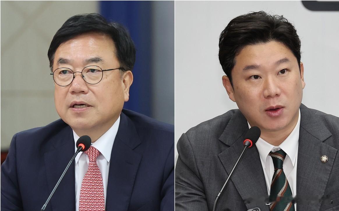 8月7日，韩国国民力量党中央伦理委员会正式官宣，对两名亲韩东勋派系争议议员启动惩