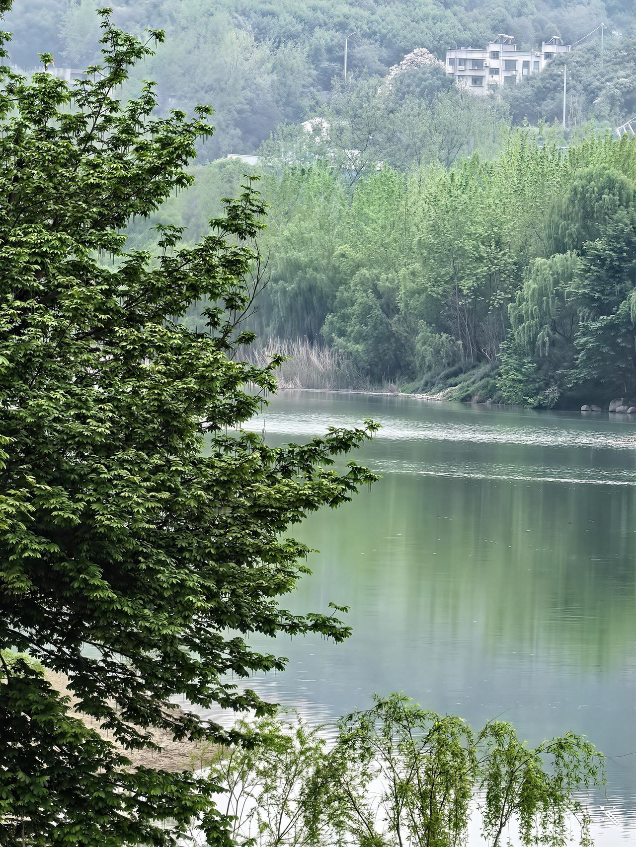 圣人采到天地之气以后，就成为了仙人。圣人成仙以后，他体内的真气不再是靠父母血气合