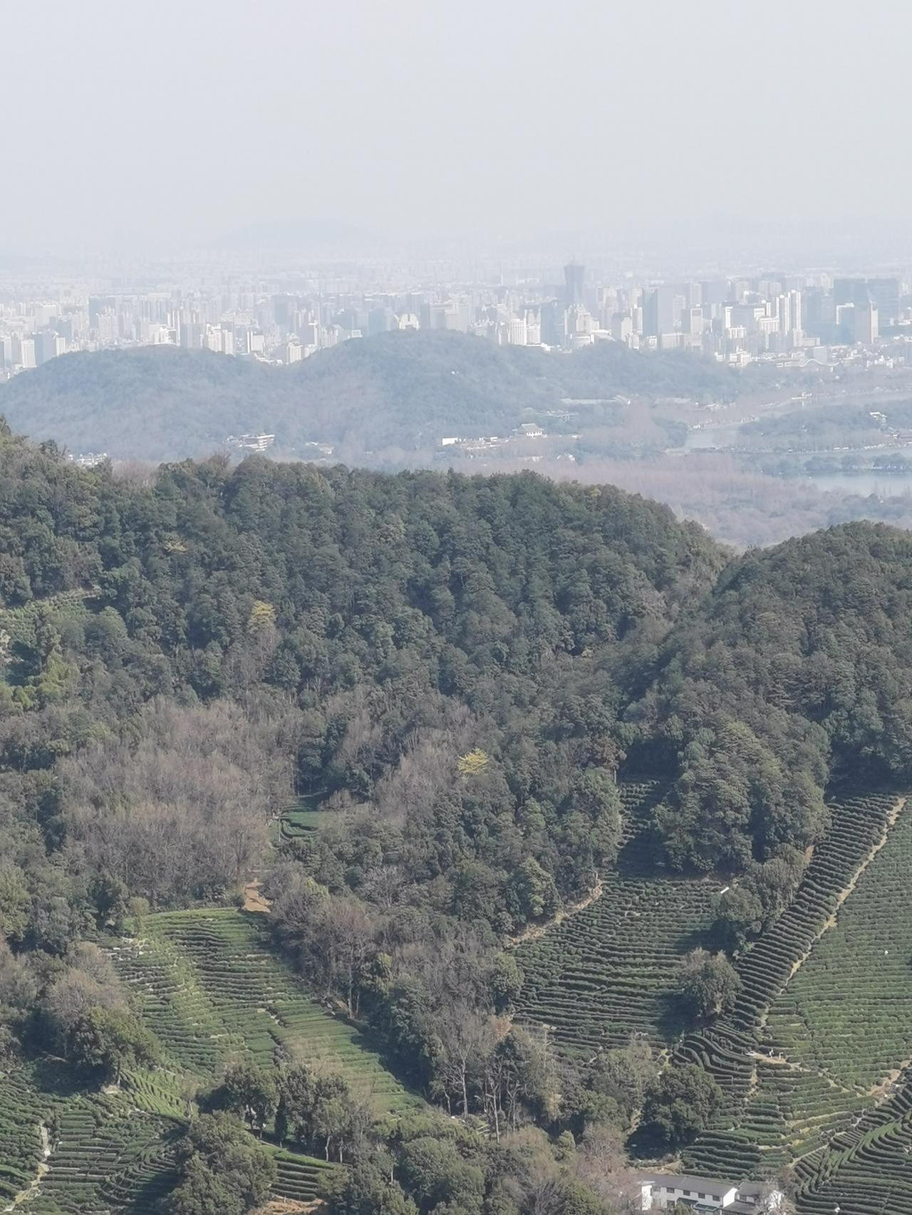 杭州爬山吸氧，俯瞰城市与茶园。周末一家人去爬山，爬到山顶瞬间被治愈到！眼前是层