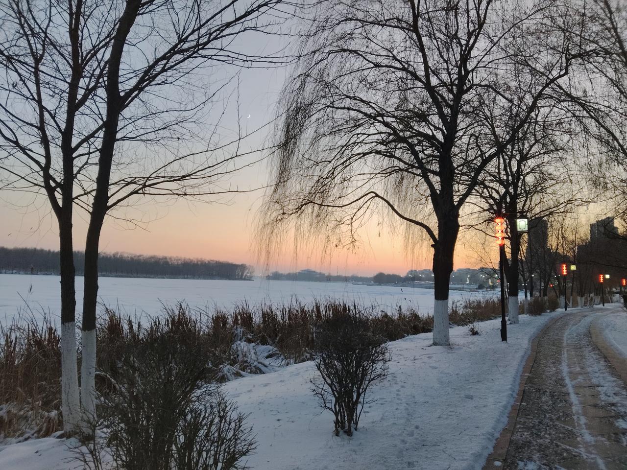 孩子的未来8万块钱就“搞定”了？学生上了违反纪律，老师批评她不服气和老师顶嘴