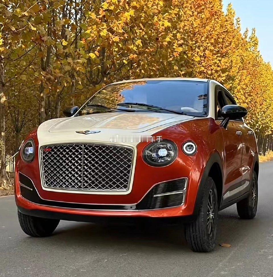 两台电动车的驾驶员都下了车，然后都开启了自动泊车，两台车在车上没有人的背景下，居